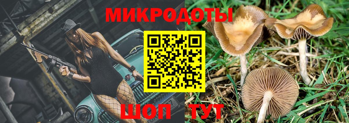 Галлюциногенные грибы MAGIC MUSHROOMS  Вход с VPN  Острогожск 