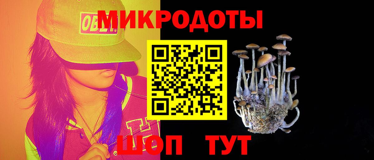 Галлюциногенные грибы Cubensis Острогожск